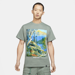 ナイキ AGG 'Crater Lake' ショートスリーブ Tシャツ DA4878-365 グレーの画像