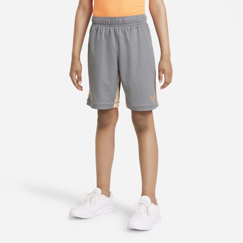 Nike Dri-FIT Pantalón corto de entrenamiento con estampado - Niño - Gris