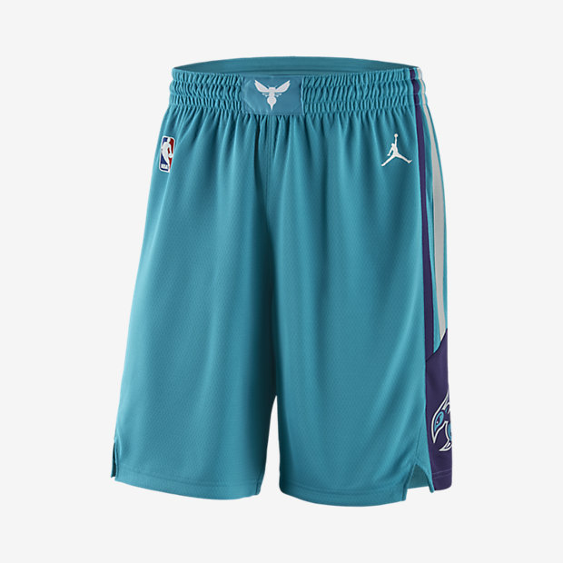 Мужские шорты НБА Charlotte Hornets Jordan Icon Edition Swingman Nike 826216483082